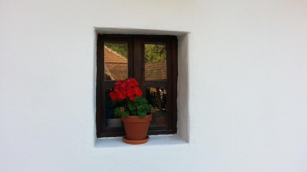 Zempleni Pitvaros Piheno Telkibánya Dış mekan fotoğraf